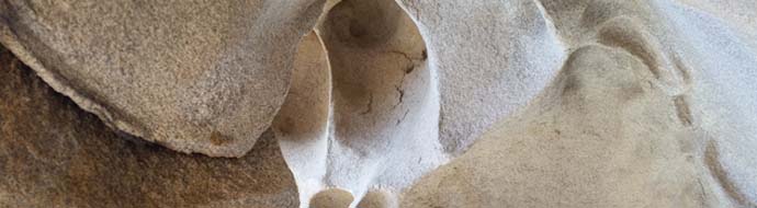 capo orso